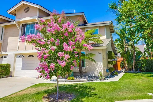7845 Mission Montana Pl Photo 1