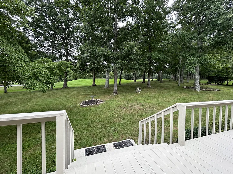 203 Snead Dr — Photo 22