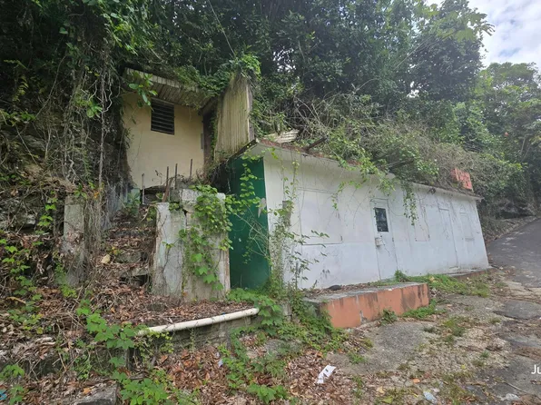 0 Bo Piletas, Lares, PR 00669