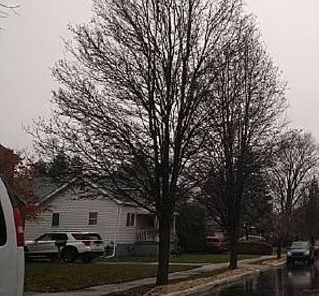 Exterior Neighborhood (street photo)