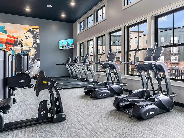 Stay fit and energized in this contemporary gym with top-notch equipment.