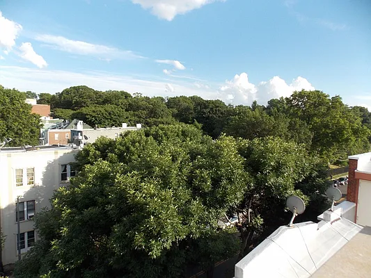 Rented by Block & Lot Real Estate | media 6