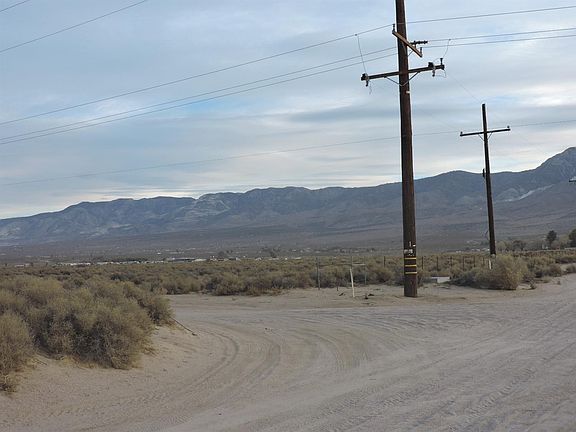 2nd image of Alamo Ave