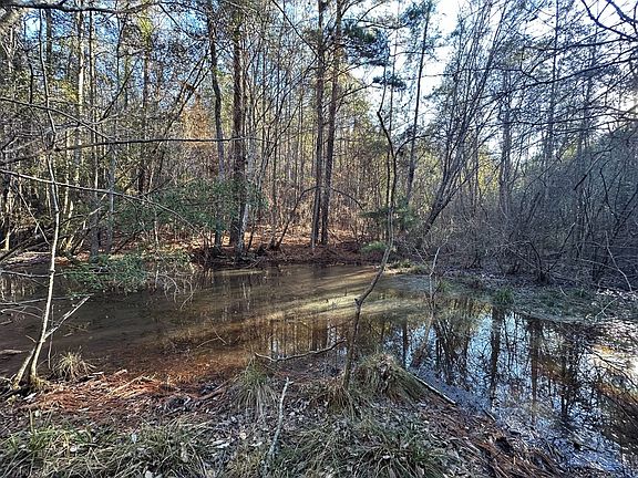 Photo Jan 16 2026 8 38 07 Am