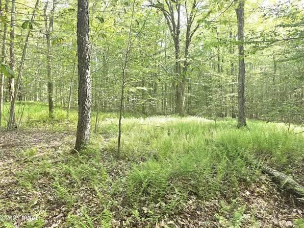 1 Highway 370, Poyntelle, PA 18454