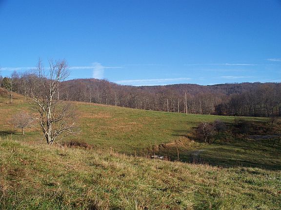 Fields on Property