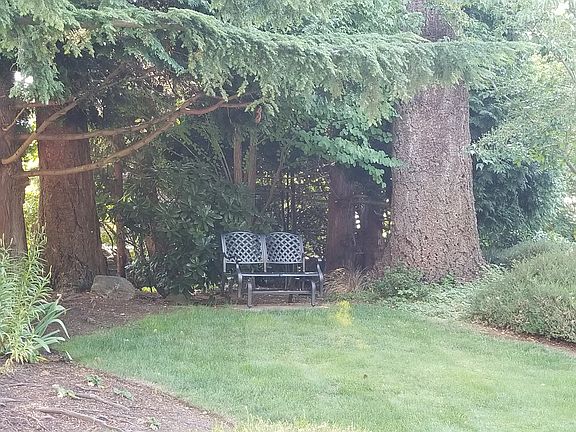 5th image of 8650 Great Horned Owl Ln