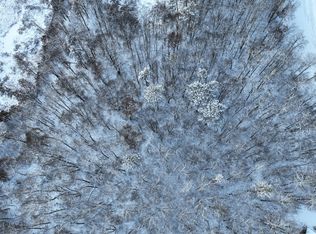 Drake Cir, Pine River, MN 56474