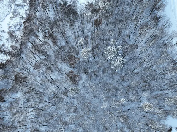 Drake Cir, Pine River, MN 56474