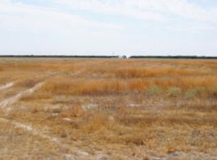 00 00 16 Avenue, Allensworth, CA 93219