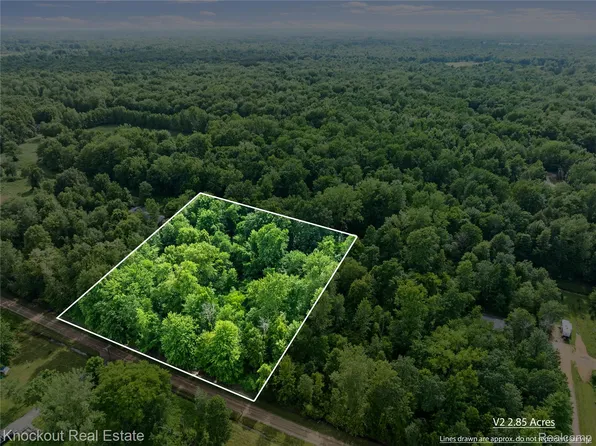 0079-V/L Natures Nest Rd, Vassar, MI 48768