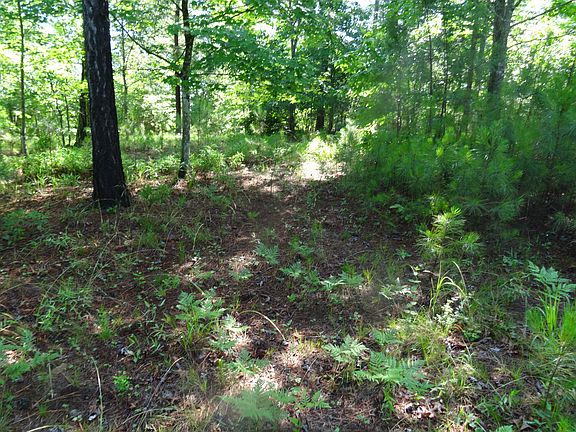 5th image of 228 River Walk Dr