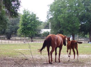 4600 SW 80th Ave, Ocala, FL 34481