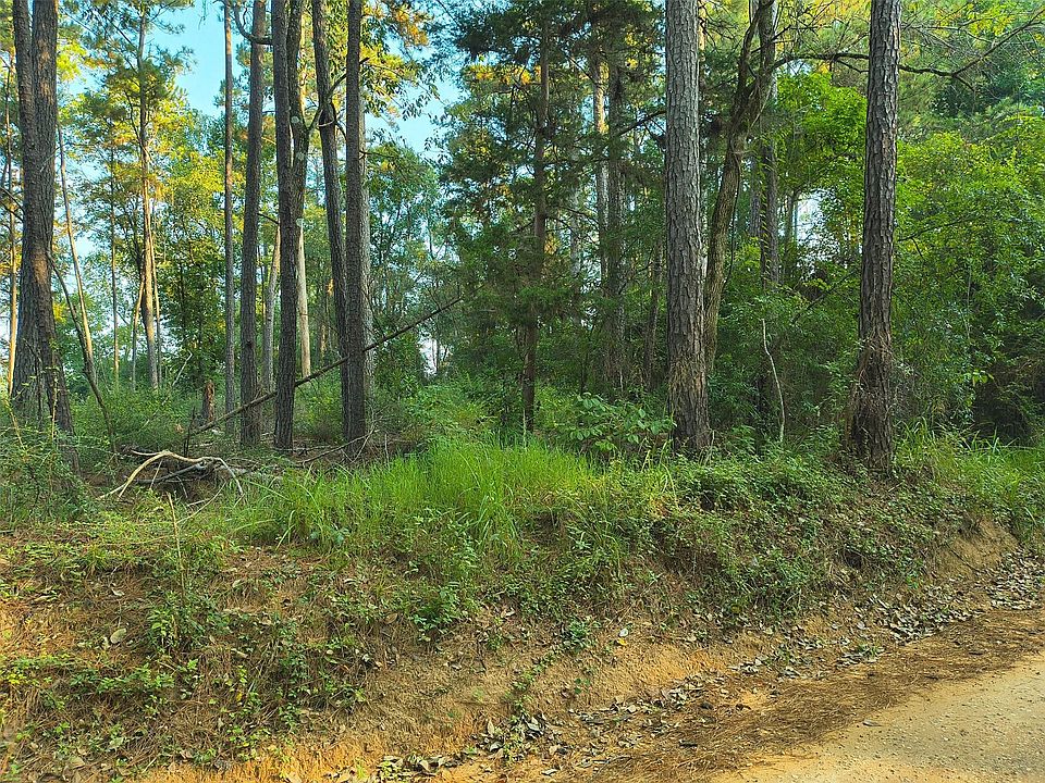 2nd image of County Line Rd