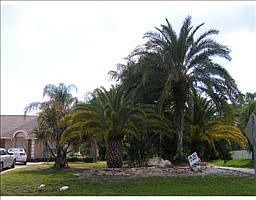 1st image of 4365 Woodtree Ln