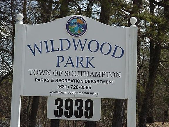 Lake,Park,Pine Barrens