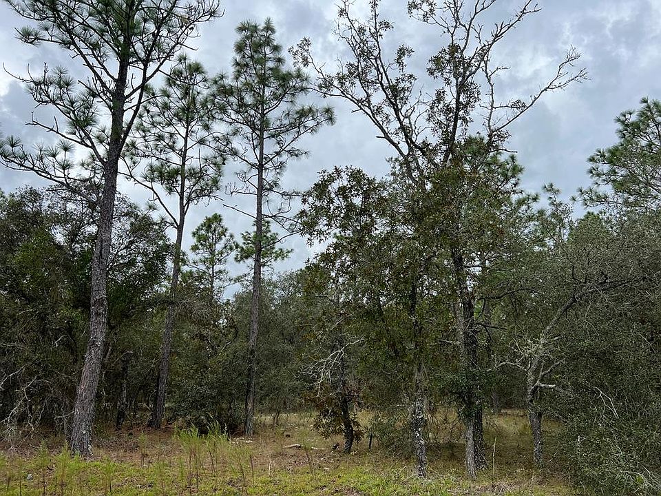 1st image of 00 SE 136th Ter