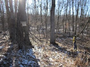 29th St, Gobles, MI 49055