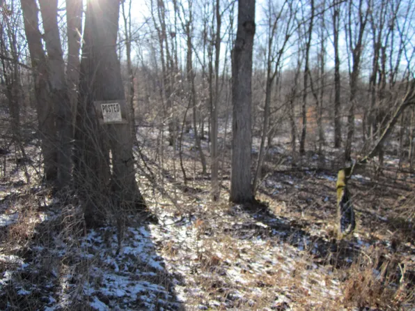 29th St, Gobles, MI 49055