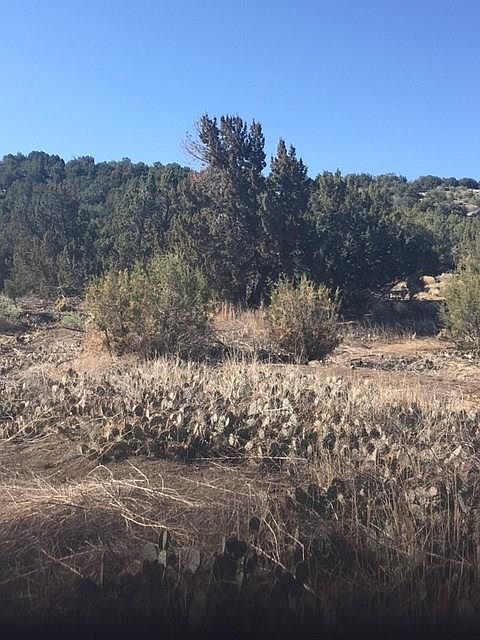 1st image of Tbd Pinion Ave