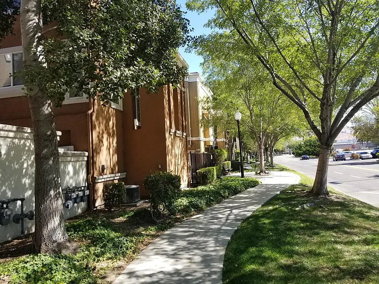 895 Illumination Pl — Photo 15