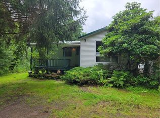 806 Bookhout Rd, Franklin, NY 13775