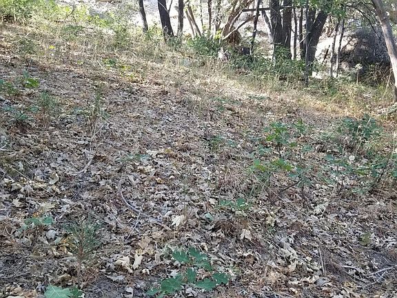 5th image of 0 Scola Ln