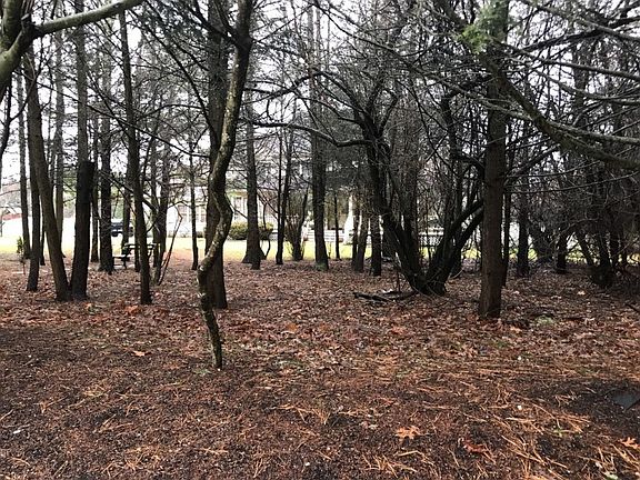 2nd image of 238 Natures Ln
