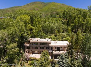 1128 Red Mountain Rd, Aspen, CO 81611