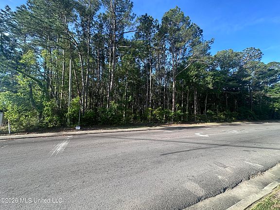 3rd image of Martin Luther King Blvd