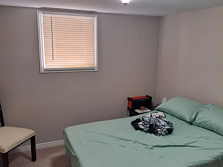 1 Greybeaver Trl #BASEMENT — Photo 6