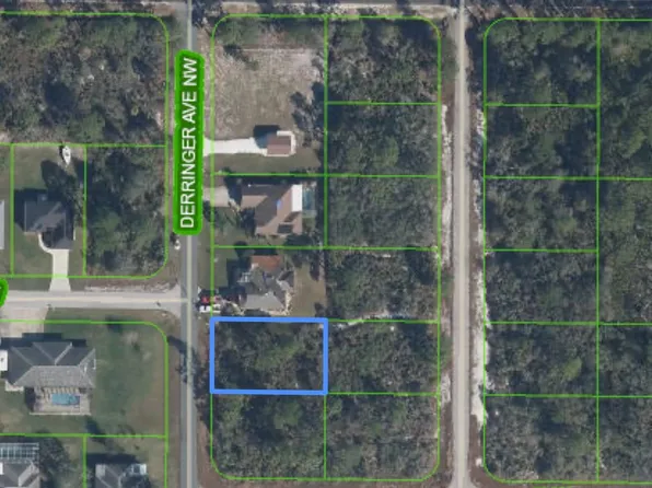 540 Derringer Ave NW, Lake Placid, FL 33852