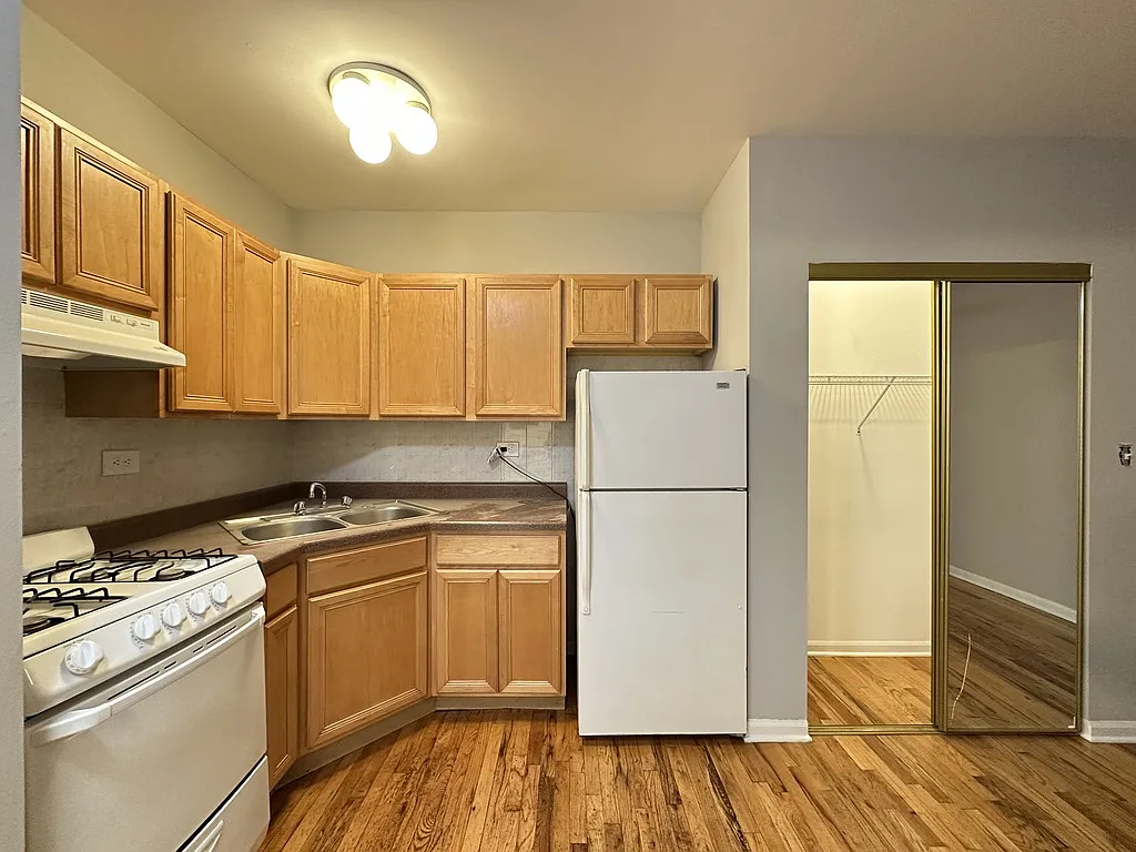 Picturesque 1 Bed, 1 Bath at Dakin + Fremont (Wrigleyville) — Photo 3