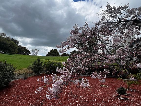 Spring in Canyon lakes, Frontside