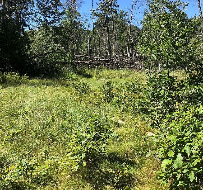 1st image of 28689 County Road C
