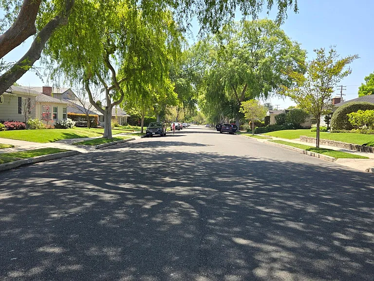 Tree lined street