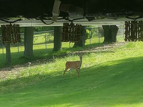 Country View
2 M to Walmar