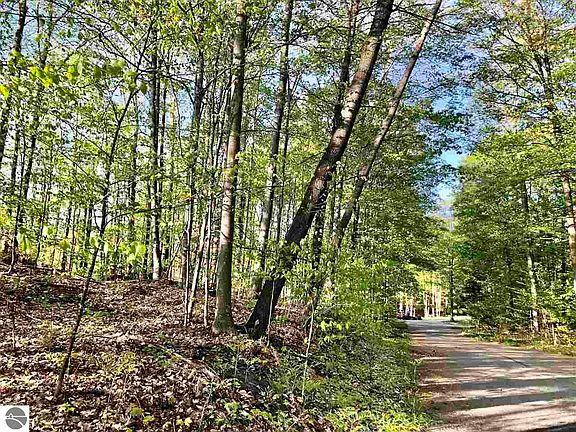 3rd image of LOT 10 Eagles Nest Dr