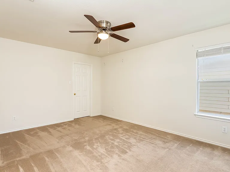 714 Celosia — Photo 10