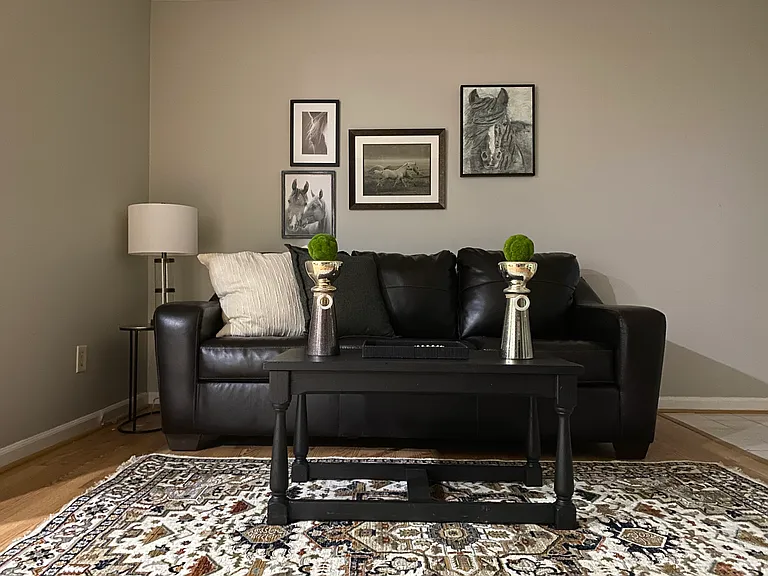 3467 Pimlico Pkwy #B — Photo 4