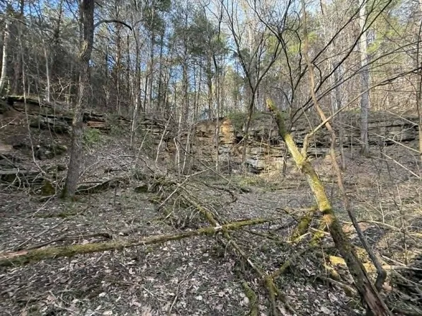 5/- Acres Hwy #415, Albany, KY 42602