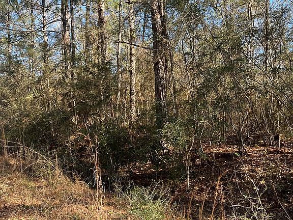 5th image of LOT 197 Woodland Dr