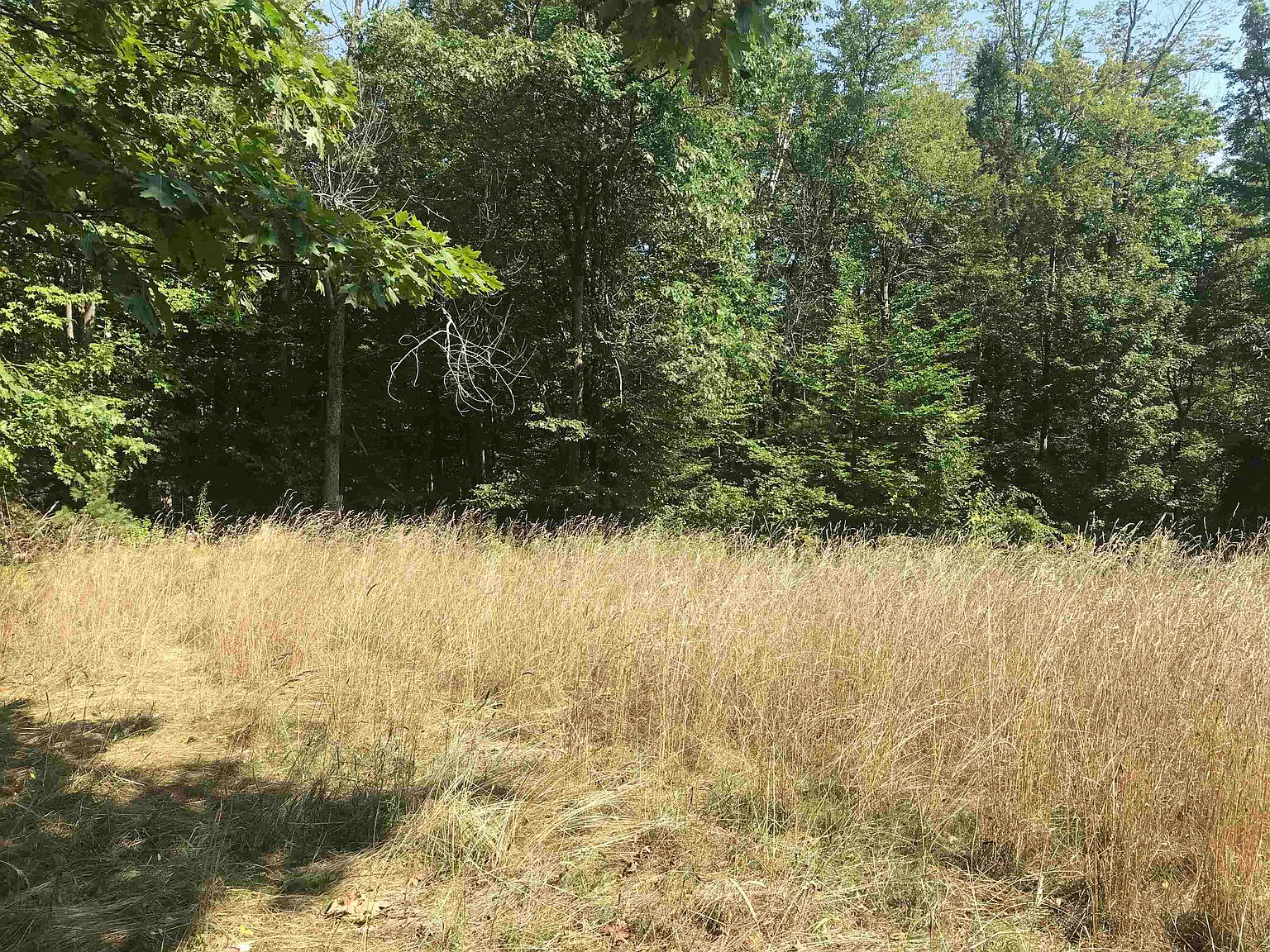 Lot 5B842 Moran Road, Temple, NH 03084 Zillow