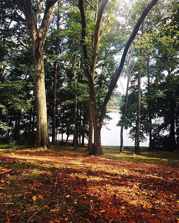 4529 Topside Rd, Knoxville, TN 37920 Zillow