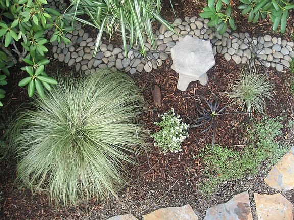 Top view of Japanese garden