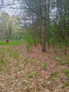 4590 Oak Ave, Newaygo, MI, 49337