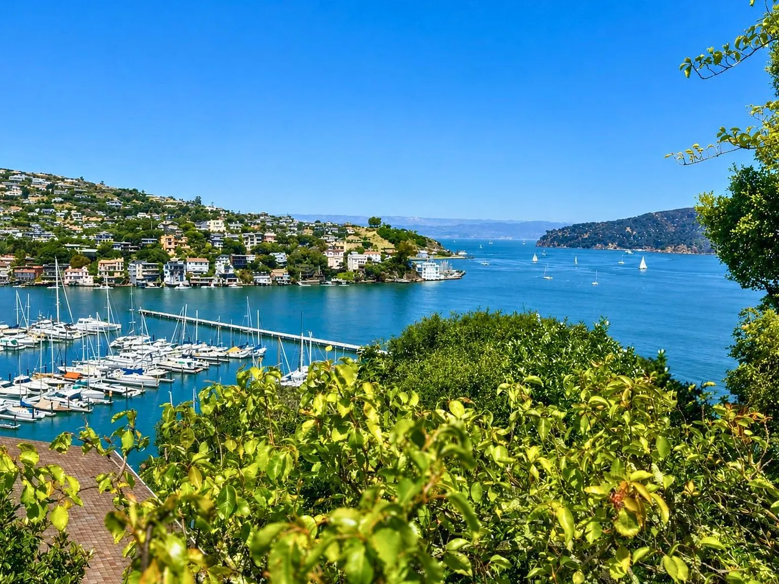 Bayview Ave, Belvedere Tiburon — Photo 2