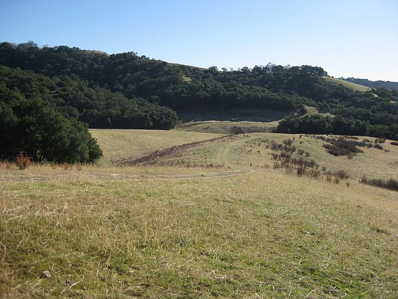 road into Bear Valley