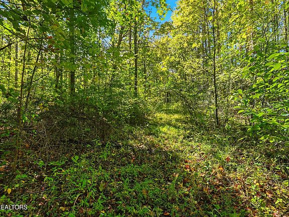 5th image of 1 Timber Lake Drive