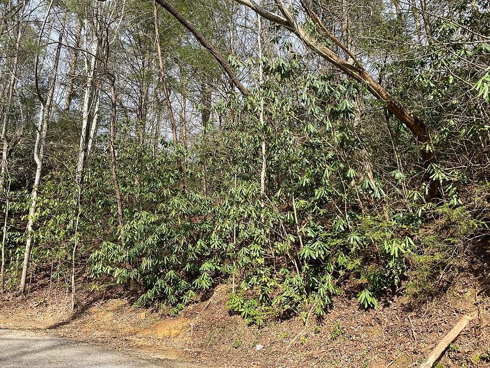 1st image of 8 Palmer Rd #8